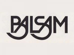 balsam英文字体设计-图酷设计