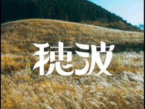 穗波艺术字体设计-图酷设计