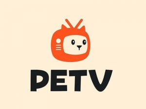 PETV英文字体设计-图酷设计
