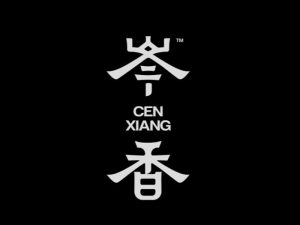 岑香艺术字体设计-图酷设计