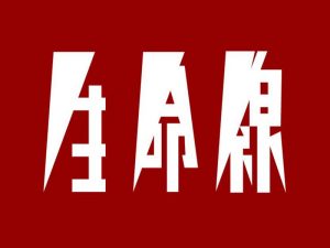 生命线艺术字体设计-图酷设计