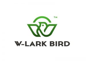 小鸟W图形字体设计-图酷设计