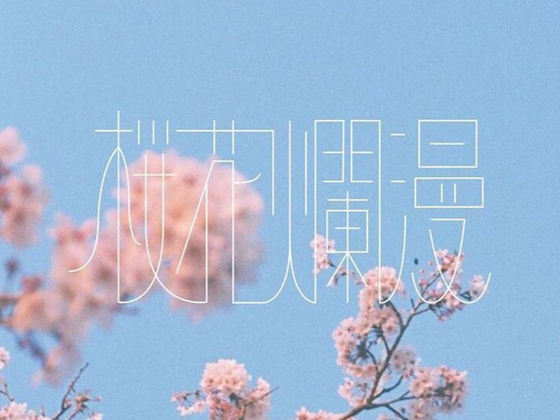 樱花烂漫艺术字体设计-图酷设计