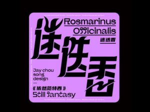 迷迭香艺术字体设计-图酷设计