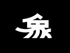 象艺术字体设计-图酷设计