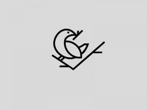 小鸟图形字体设计-图酷设计