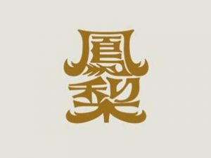 凤梨艺术字体设计-图酷设计