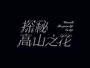 探秘高山之花艺术字体设计-图酷设计