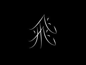 飞艺术字体设计-图酷设计