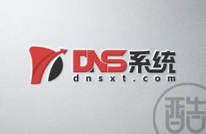 DNS系统品牌LOGO案例-图酷设计