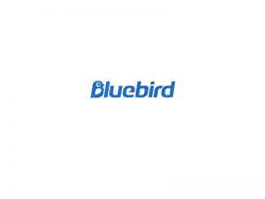 bluebird英文字体设计-图酷设计