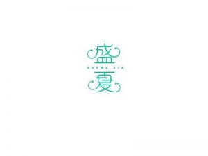 盛夏艺术字体设计-图酷设计