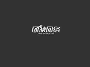 风特网络艺术字体设计-图酷设计