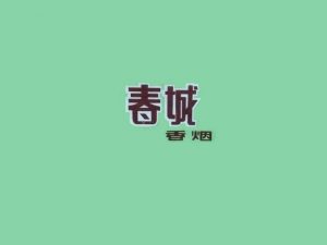 春城艺术字体设计-图酷设计