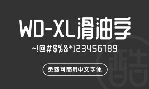 WD-XL 滑油字-图酷设计