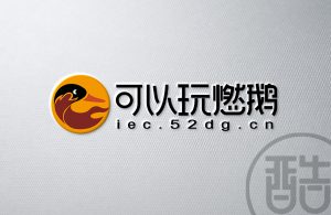 可以玩燃鹅品牌LOGO案例-图酷设计