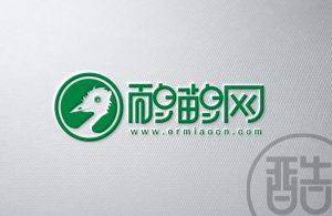 鸸鹋网品牌LOGO案例-图酷设计