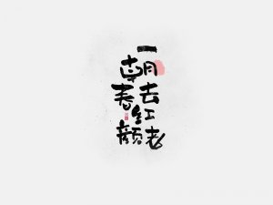 一朝春去红颜老书法字体设计-图酷设计