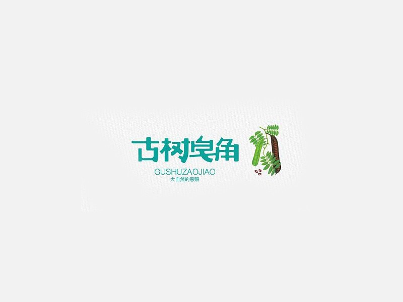 古树皂角