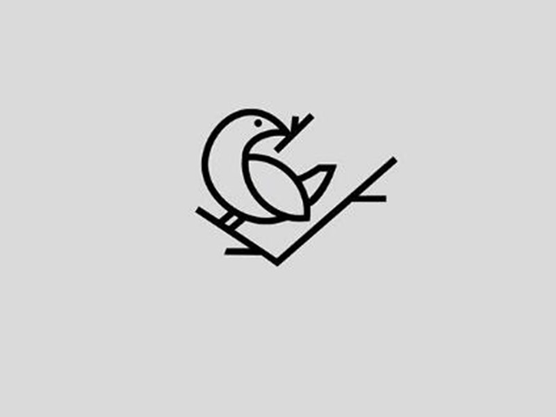 小鸟