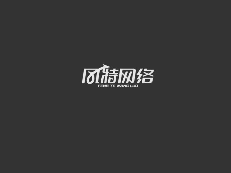 风特网络