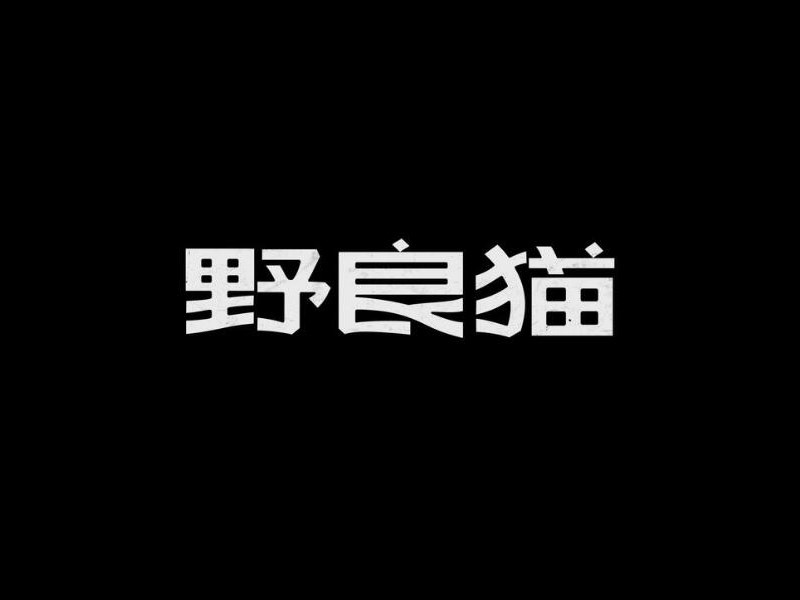 野良猫