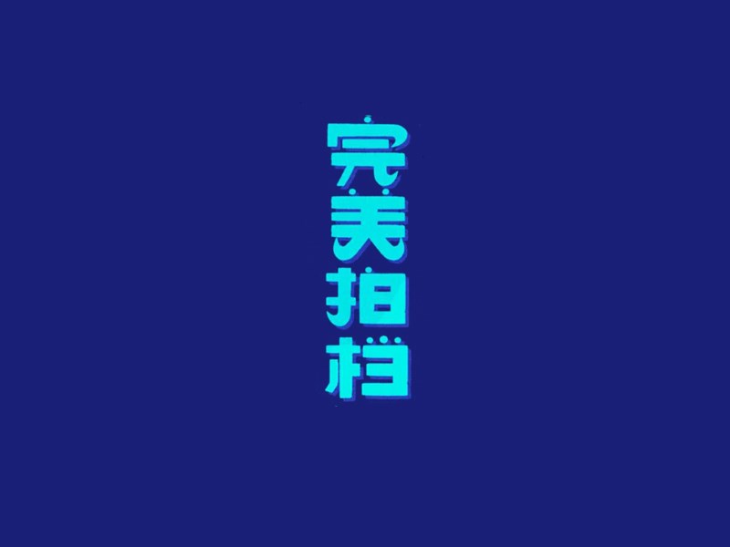 完美拍档