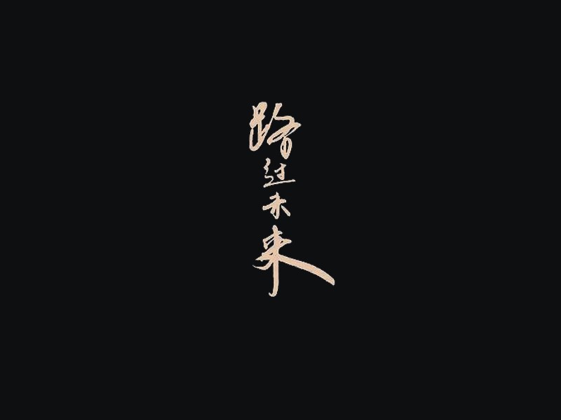 路过未来