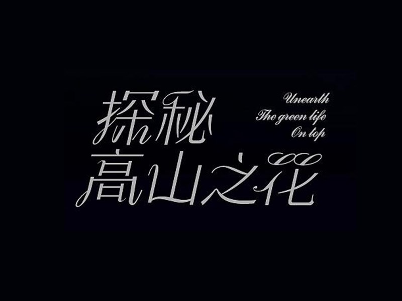 探秘高山之花