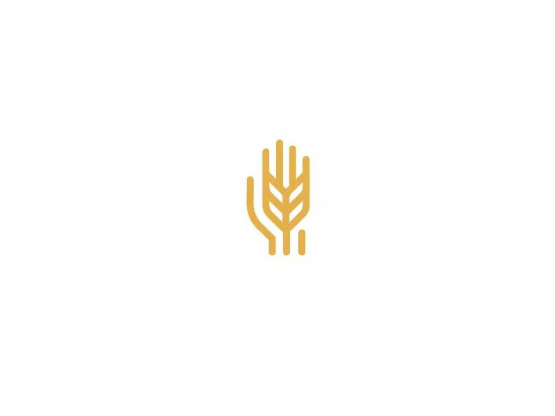 麦穗