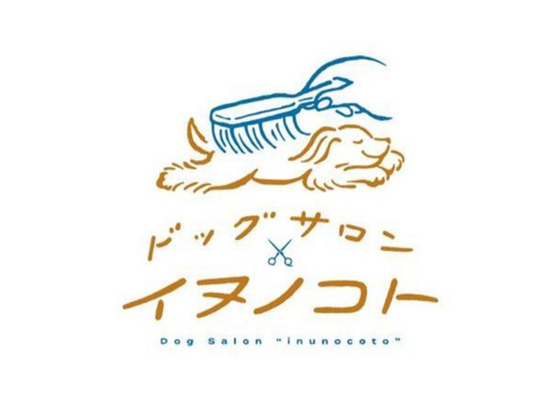 小狗、宠物