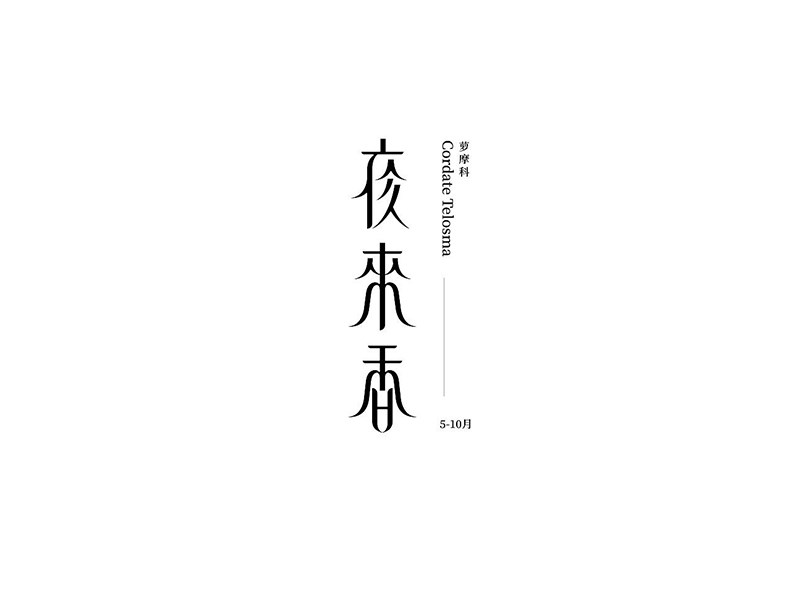 夜来香